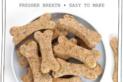 Low Fat Dog Treats Recipes: Best Proteins for Pancreatitis & Chicken Allergies