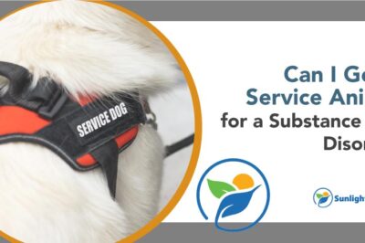 Service Dogs Help Alcoholism Recovery & Sober Living Support