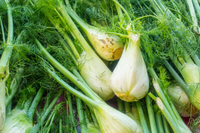 Fennel & Pet Safety: Health Benefits vs Risks for Cats Dogs Rabbits & Birds, ID Edible vs Dog Fennel