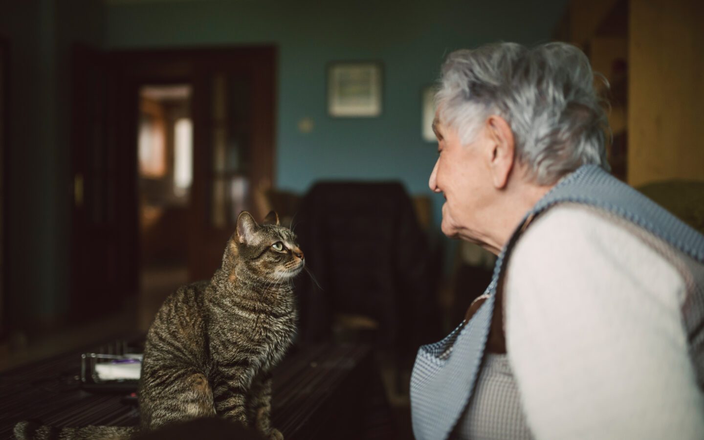 senior lady with striped cat, looking lovingly at each other