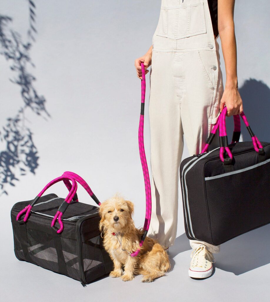 top TSA & Airline Approved Pet Carriers: Options, Sizes & Alternatives