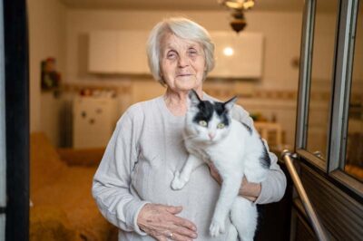 Best Asian Cat Breeds for Seniors in Assisted Living | Easy Intros & Living in Harmony