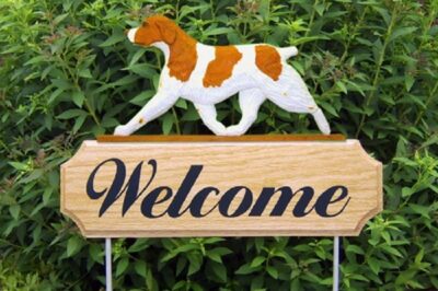 Best Dog-friendly Yard for Brittany Spaniels: Keep Your Brittany Entertained & Safe with Dog-Proof Design