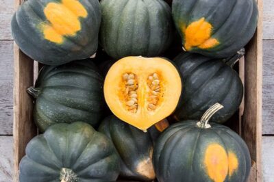 Acorn Squash Benefits & Risks for Pets: Safe Eating for Pets & People | Raw vs Cooked | Leaves & Stalks