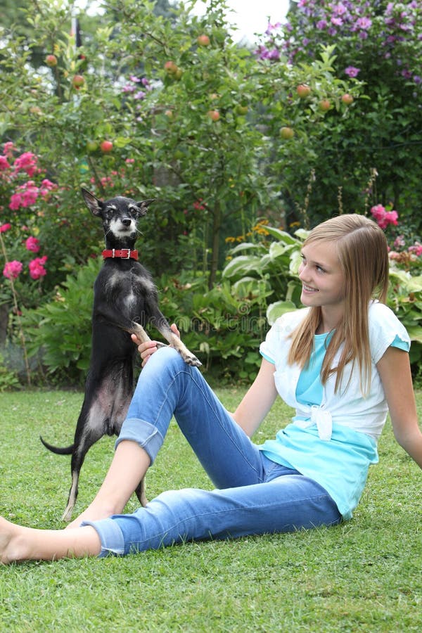 senior miniature pinscher min pin in garden with teen girl