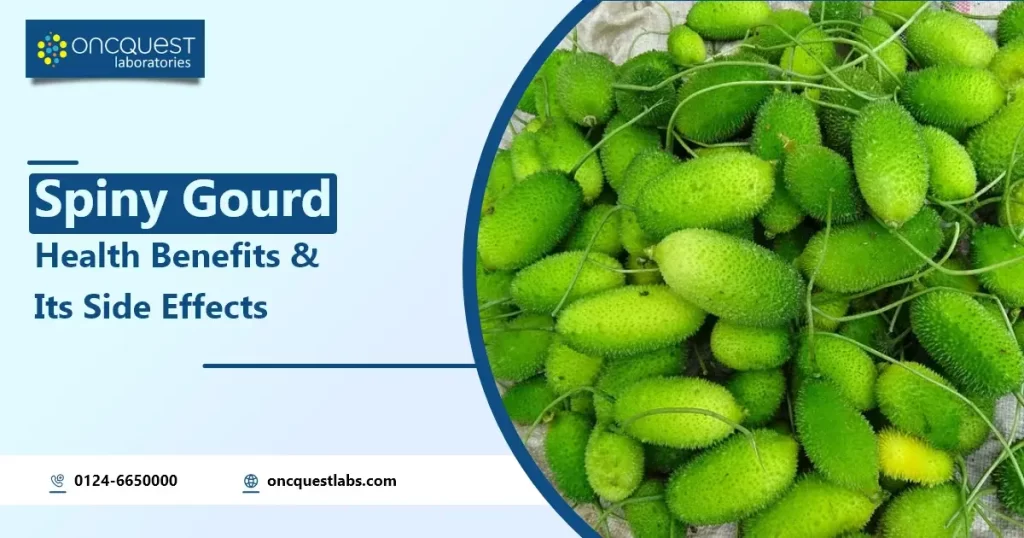 spiny gourd health benefits vs side effects