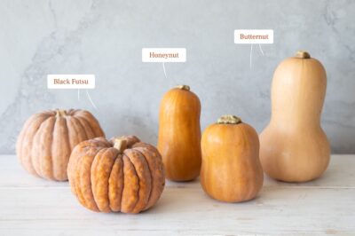 Winter Squash Care & Nutrition Guide: Raw vs Cooked Benefits for Pets & People | Celebrity & Gordon Ramsay Recipes