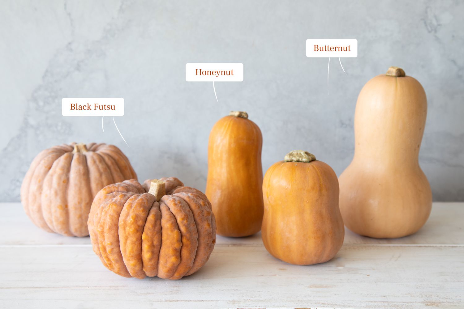 winter squash comparison including black futsu, honeynut and butternut
