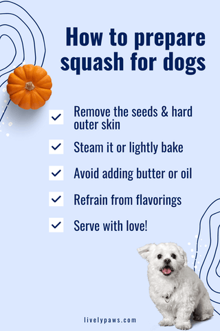 how to prepare squash for pet dogs & cats to eat safely