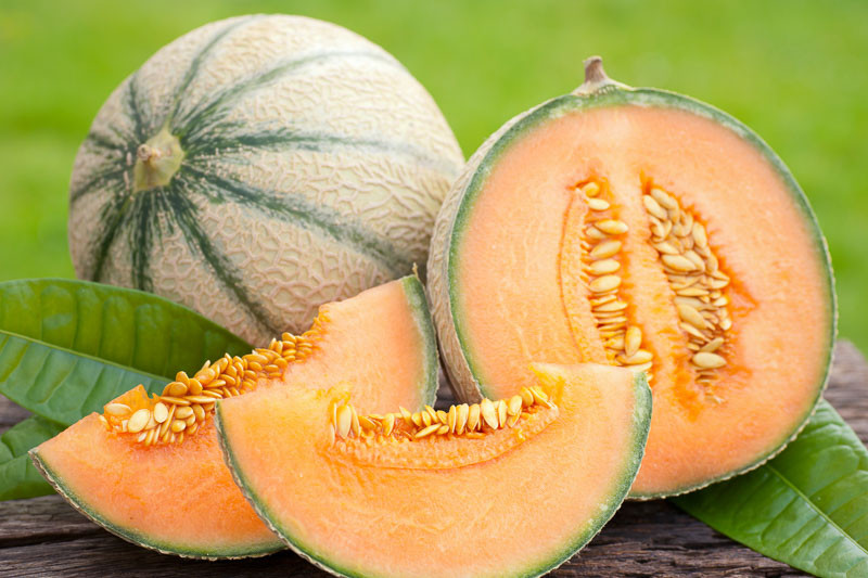whole & sliced true European cantaloupe