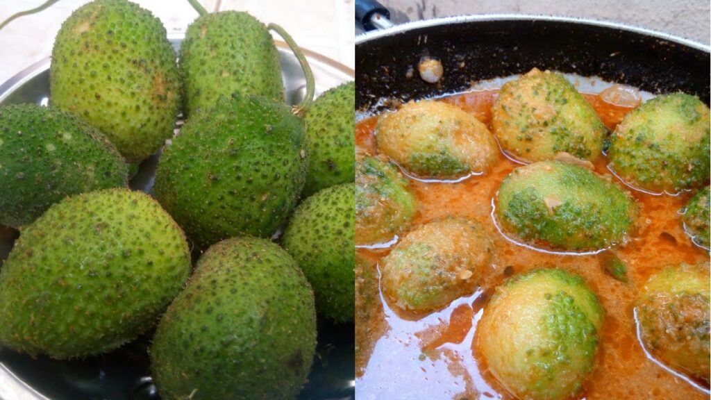 cook & eat Spiny Teasel Gourd "Hedgehog Gourd" recipes