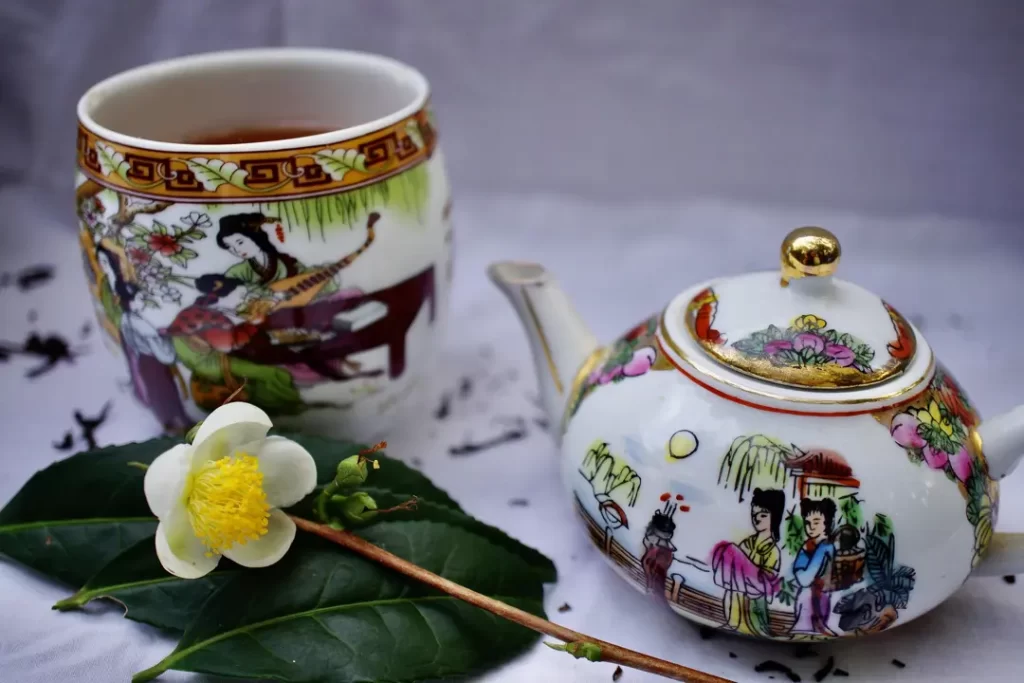 common Camellia japonica tea