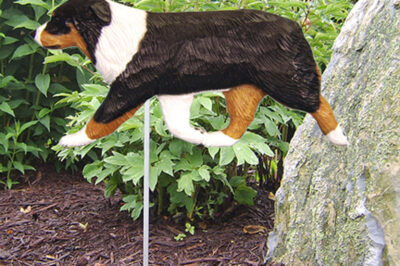 Best Australian Shepherd Garden: Fencing, Terrain, Dog-Safe Plants, Enrichment & Prey Drive Management