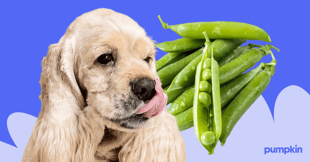dogs can eat ASPCA nontoxic Sugar snap peas