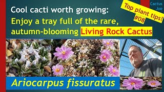 Living Rock Cactus ID & Pet Safe Care Indoor & Out: Legalities, Companion Plants & Psychoactive Uses
