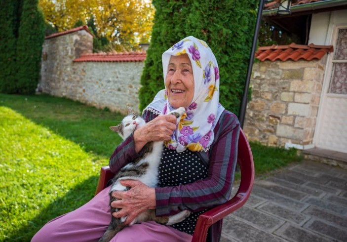 How Pet-Safe Gardens Enhance Senior Living Communities