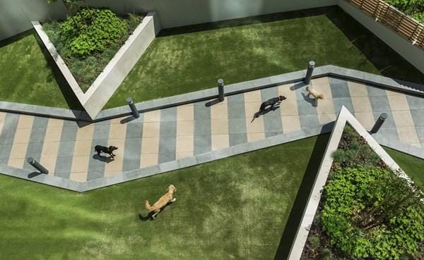 Pet-friendly expectations now extend beyond policies into functionality and overall experience, Modern Pet Ownership Is Reshaping Shared Spaces