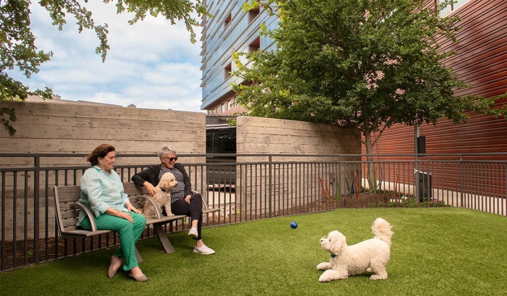Hybrid work, lifestyle integration, and rising pet ownership are reshaping daily routines, Modern Pet Ownership Is Reshaping Shared Spaces