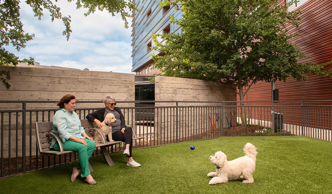 Hybrid work, lifestyle integration, and rising pet ownership are reshaping daily routines, Modern Pet Ownership Is Reshaping Shared Spaces
