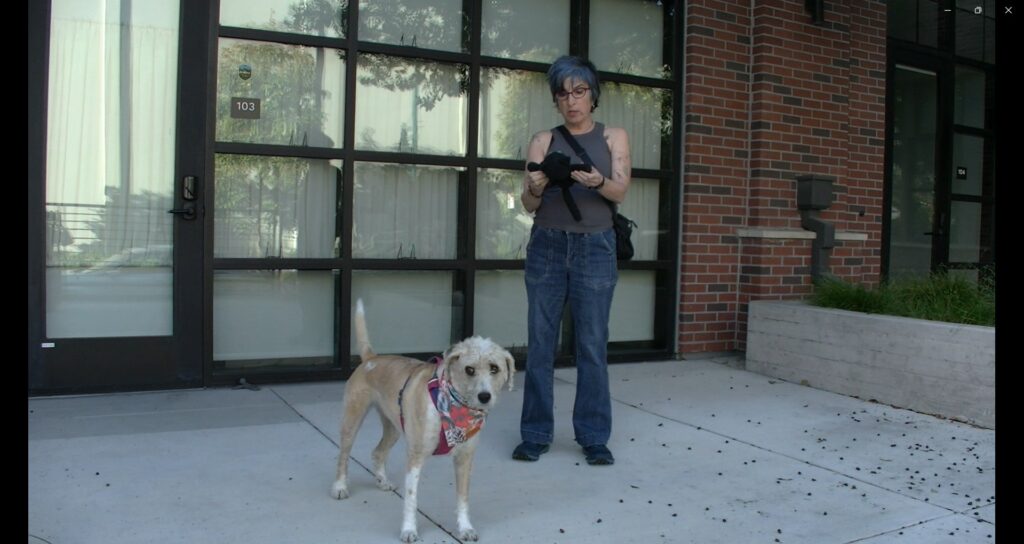 dog owner Ellen with rescue dog Ellie evaluate test toy