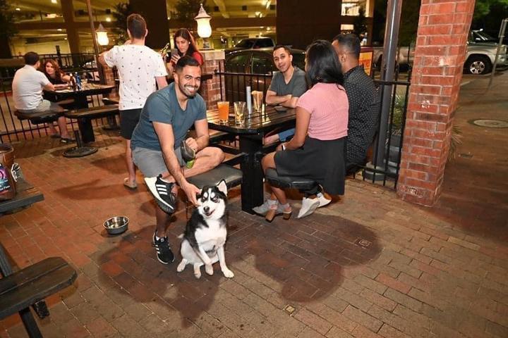 Why Pet-Welcoming Spaces Are Becoming a Competitive Advantage