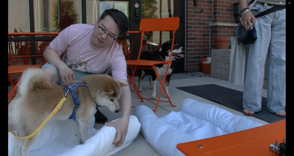 dog owner Kyle with his Shiba Inu Yoshi testing bed at dog party at shared live work space
