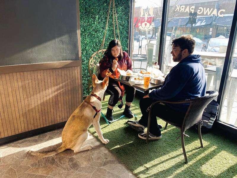 enclosed dog-friendly dining