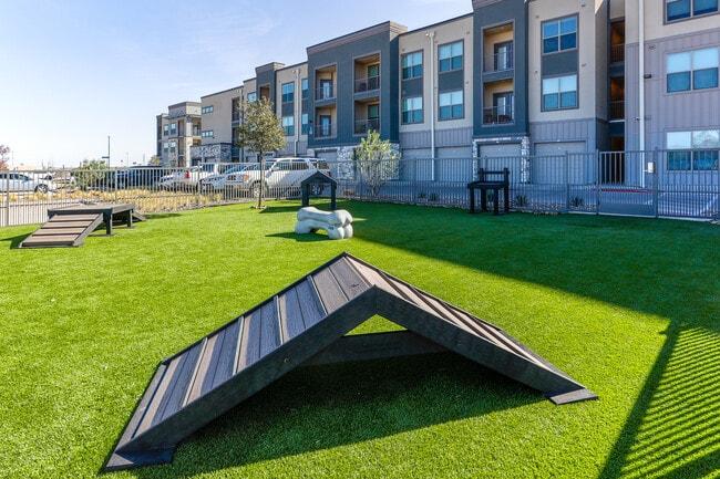 Visibility and social proof shape how welcoming spaces are perceived, Modern pet ownership increasingly influences how shared spaces are designed and experienced, Modern Pet Ownership Is Reshaping Shared Spaces