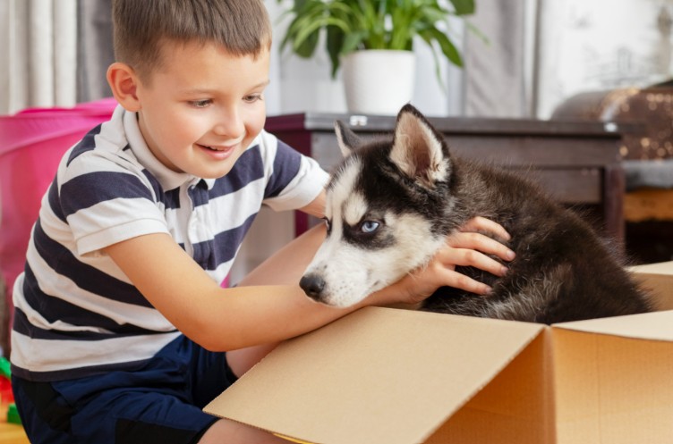 Moving Pets Into Apartments & Condos: A Guide to Successful Shared Living