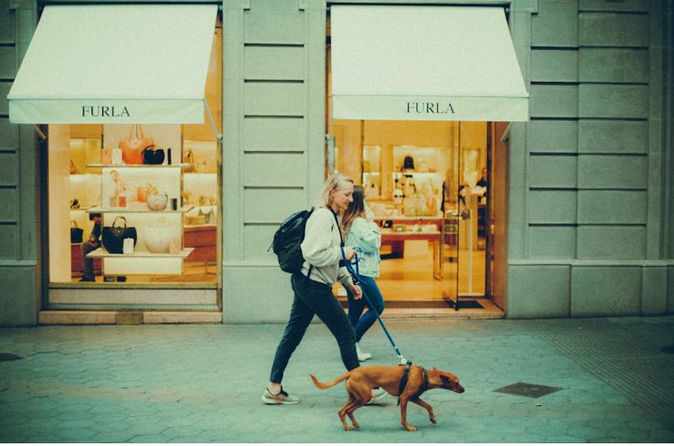 What Makes a Shopping District Truly Pet-Welcoming for Visitors and Their Pets like this vizsla shopping with owner