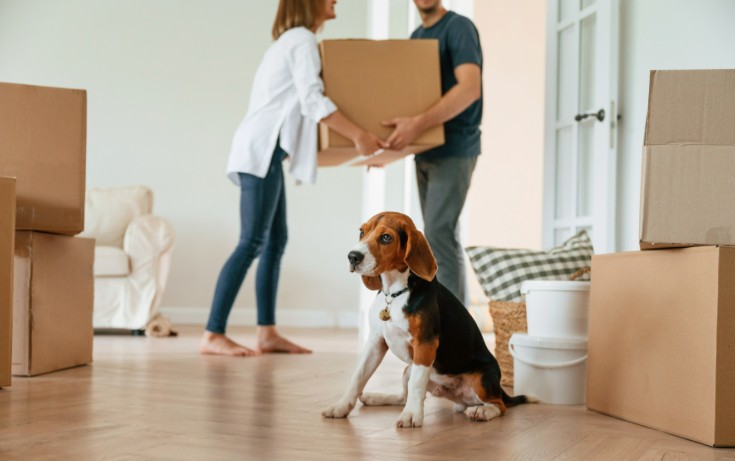 Helping Pets Adjust to Apartments, Condos & Senior Living Communities